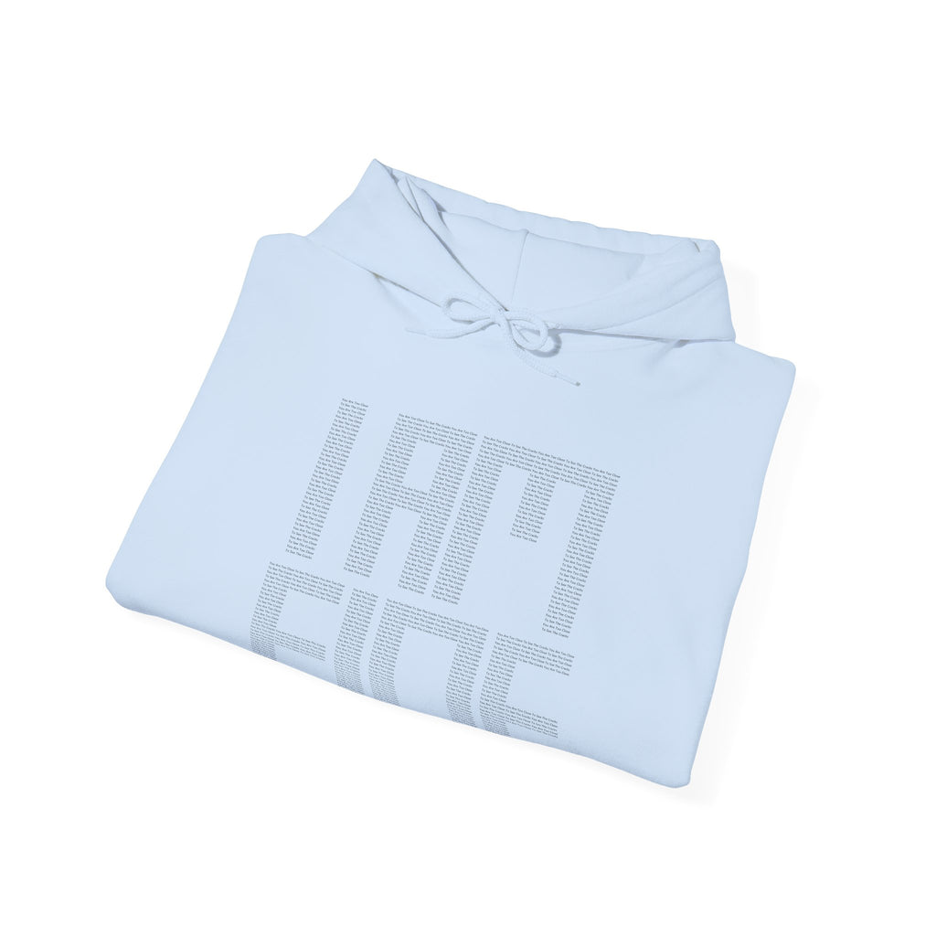 NO_ERORR [ I AM FINE..? / HOODIE ] FROM AFAR EDITION | Version √1