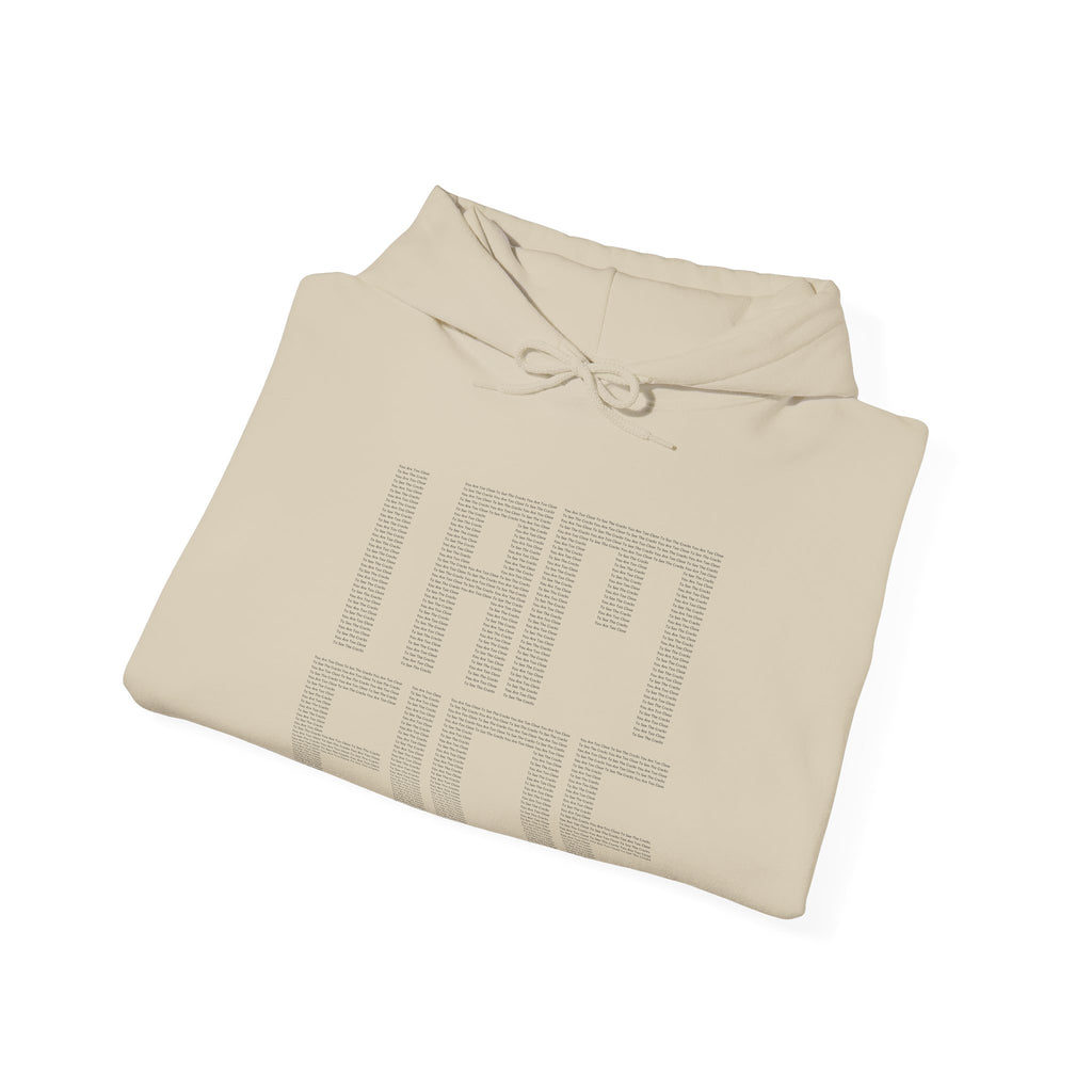 NO_ERORR [ I AM FINE..? / HOODIE ] FROM AFAR EDITION | Version √1